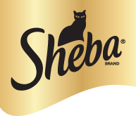 Sheba