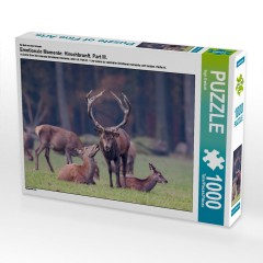 CALVENDO Puzzle CALVENDO Puzzle Emotionale Momente: Hirschbrunft. Part III. Пазл CALVENDO Пазл Эмоциональные моменты: Оленья гонка. Часть 3