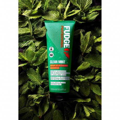 Fudge Clean Mint Deep Cleansing Shampoo  Чистый мятный шампунь для глубокого очищения