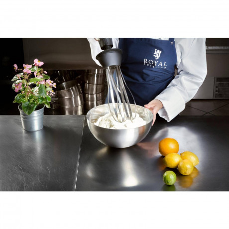 Royal Catering Royal Catering Stabmixer Stabmixer Gastro 500 W Edelstahl Mixer Schneebesen Mixstab 16.000 U, 500 W  Ручной блендер Royal Catering Gastro 500 Вт Миксер из нержавеющей стали Венчик-венчик 16 000 U, 500 Вт