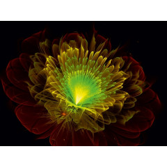 CALVENDO Puzzle CALVENDO Puzzle Unglaubische Fractalblumen Пазл CALVENDO Puzzle Невероятные фрактальные цветы