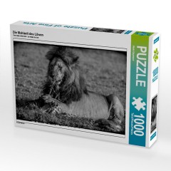 CALVENDO Puzzle CALVENDO Puzzle Die Mahlzeit des Lowen Пазл CALVENDO Puzzle Львиная мука