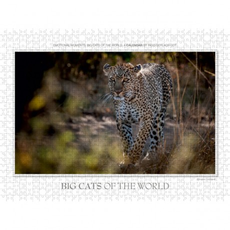 CALVENDO Puzzle CALVENDO Puzzle Emotional Moments: Big Cats of the World \/ UK-Version Пазл CALVENDO Puzzle Emotional Moments: Big Cats of the World / UK version