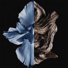 Givenchy (Живанши) GENTLEMEN Intense Eau de Toilette Туалетная вода Spray Спрей, 60 мл