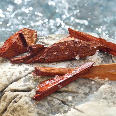 Dolce&Gabbana Light Blue Pour Homme Summer Vibes Light Blue Pour Homme Summer Vibes