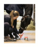 Leovet Hoof Balm Prabiotisch 450ml, Бальзам для копыт лошадей, крем, увлажнение и защита копыт, биотин, кератин, гиалурон, натуральные масла, нейтральный аромат (Германия), 450 мл