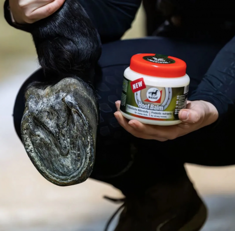 Leovet Hoof Balm Prabiotisch 450ml, Бальзам для копыт лошадей, крем, увлажнение и защита копыт, биотин, кератин, гиалурон, натуральные масла, нейтральный аромат (Германия), 450 мл