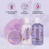Accentra Shower Set Women Gift Set Lavender in Beautiful Gift Box Подарочный набор "Лаванда"  из 4 предметов с гелем для душа, лосьоном для тела, маслом для тела и сетчатой ​​губкой