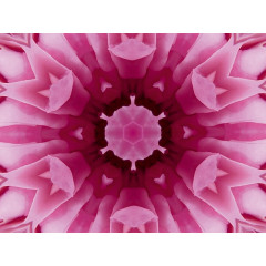 CALVENDO Puzzle CALVENDO Puzzle Herzenergie Пазл CALVENDO Puzzle энергия сердца