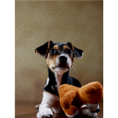 CALVENDO Puzzle CALVENDO Puzzle Liu Пазл CALVENDO Пазл Лю