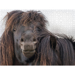 CALVENDO Puzzle CALVENDO Puzzle Menschliche Zuge beim Hengst Пазл CALVENDO Puzzle Человеческие черты жеребца