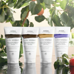 Aveda Color Renewal Color &amp; Shine Treatment Cool Brown Обновление цвета Уход за цветом и блеском