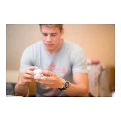 Meffert?s Morph?s Egg Яйцо Мефферта Морфа