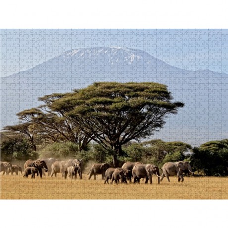 CALVENDO Puzzle CALVENDO Puzzle Majestatische Tiere vor dem Berg der Berge: Elefanten vor dem Kilimandjaro ! Kenia Пазл CALVENDO Puzzle Величественные животные перед горой гор: Слоны перед Килиманджаро! Кения
