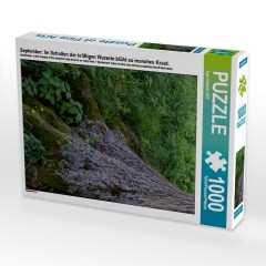 CALVENDO Puzzle CALVENDO Puzzle September: Im Schatten der kraftigen Wurzeln bluht so manches Kraut. Пазл CALVENDO Puzzle Сентябрь: В тени крепких корней расцветает множество трав.