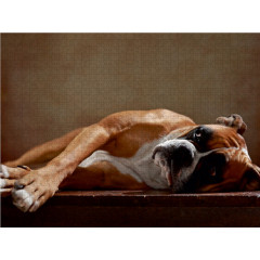 CALVENDO Puzzle CALVENDO Puzzle Maja Пазл CALVENDO Пазл Maya