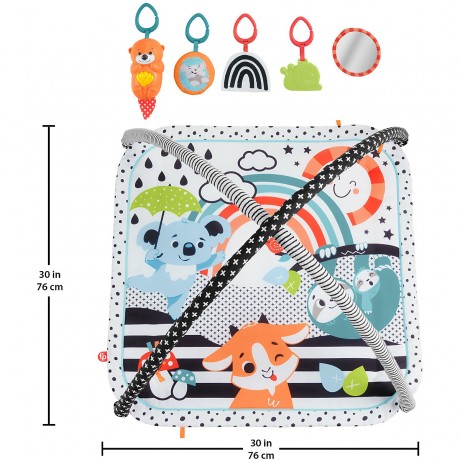 Mattel Fisher-Price Tierfreunde Kontrast-Spieldecke Контрастный игровой коврик Fisher-Price Animal Lovers