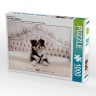 CALVENDO Puzzle CALVENDO Puzzle Wir lieben Shelties Пазл CALVENDO Puzzle Мы любим шелти