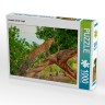 CALVENDO Puzzle CALVENDO Puzzle Leopard auf der Jagd Пазл CALVENDO Puzzle Леопард на охоте