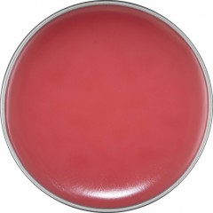 NYX Professional Makeup Thisiseverything Nr. 01 - Lip Balm Это все