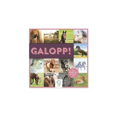 Galopp! (Spiel) Галопом! (Игра)