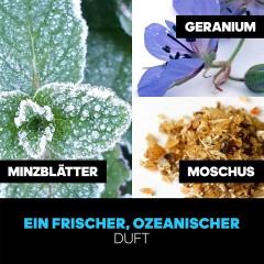 adidas Ice Dive Deodorant Spray, Адидас Дезодорант-cпрей Ice Dive 48h для мужчин, 150 мл