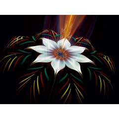 CALVENDO Puzzle CALVENDO Puzzle Auswurf Пазл CALVENDO Puzzle Ejection