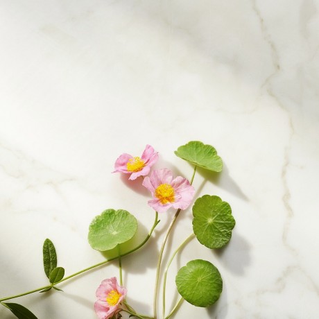 Rituals Ageless Firming Day Cream Refill  Укрепляющий дневной крем Ageless Refill