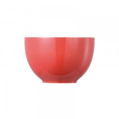 Thomas Thomas Sunny Day New Red Muslischale 12 cm / 0,45 L Миска для хлопьев Thomas Sunny Day New Red 12 см / 0,45 л
