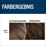 Набор 10 упаковок Schwarzkopf MEN Perfect 60 Средне-коричневый, мужская краска от седины 5 минут, Германия