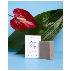 Earth Harbor Lava Clay Healing Soap Bar  Лечебное мыло Lava Clay