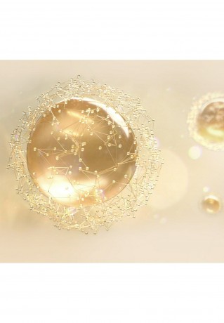 GUERLAIN GUERLAIN ABEILLE ROYALE FORTIFYING LOTION Gesichtswasser transparent GUERLAIN ABEILLE ROYALE FORTIFYING LOTION тоник для лица