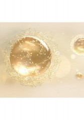 GUERLAIN GUERLAIN ABEILLE ROYALE FORTIFYING LOTION Gesichtswasser transparent GUERLAIN ABEILLE ROYALE FORTIFYING LOTION тоник для лица