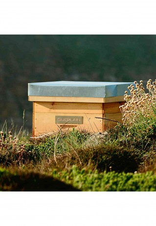 GUERLAIN GUERLAIN ABEILLE ROYALE FORTIFYING LOTION Gesichtswasser transparent GUERLAIN ABEILLE ROYALE FORTIFYING LOTION тоник для лица