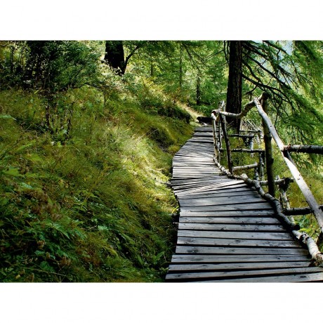 CALVENDO Puzzle CALVENDO Puzzle Suonenweg Saas Almagell Пазл CALVENDO Puzzle Suonenweg Saas Almagell