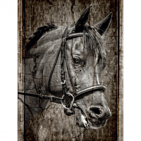 CALVENDO Puzzle CALVENDO Puzzle Antic Pferdemalerei Пазл CALVENDO Puzzle Старинная лошадь картина