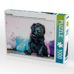 CALVENDO Puzzle CALVENDO Puzzle Briard-Welpe Пазл CALVENDO Puzzle Щенок бриара