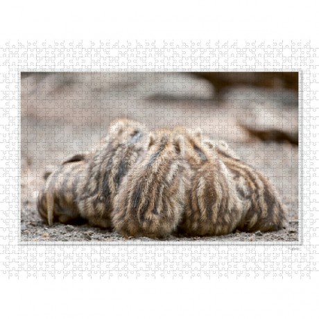 CALVENDO Puzzle CALVENDO Puzzle Emotional Moment: Die Eber. UK-Version Пазл CALVENDO Пазл Эмоциональный момент: Кабаны. версия для Великобритании