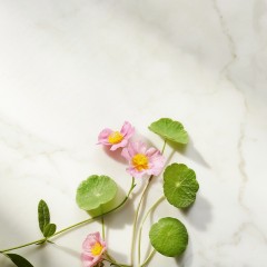 Rituals Ageless Firming Night Cream  Укрепляющий ночной крем Ageless