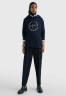 Tommy Hilfiger METALLIC ROUNDALL HOODIE Hoodie desert sky Толстовка с капюшоном METALLIC ROUNDALL Толстовка с капюшоном небо пустыни