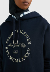Tommy Hilfiger METALLIC ROUNDALL HOODIE Hoodie desert sky Толстовка с капюшоном METALLIC ROUNDALL Толстовка с капюшоном небо пустыни