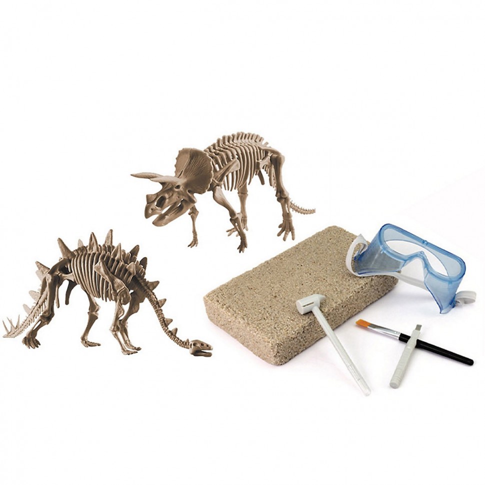 Купить Edu-Toys Grosses 2in1 Dinosaurier Ausgrabungsset mit Werkzeug  Triceraptor und Stegosaurus in schwerem Sandblock Большой набор для  раскопок динозавров 2 в 1 с инструментами Трицераптор и Стегозавр в тяжелом  песчаном блоке в