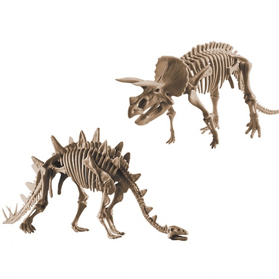 Купить Edu-Toys Grosses 2in1 Dinosaurier Ausgrabungsset mit Werkzeug  Triceraptor und Stegosaurus in schwerem Sandblock Большой набор для  раскопок динозавров 2 в 1 с инструментами Трицераптор и Стегозавр в тяжелом  песчаном блоке в