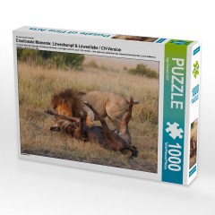 CALVENDO Puzzle CALVENDO Puzzle Emotionale Momente: Lowenkampf  Lowenliebe \/ CH-Version Пазл CALVENDO Puzzle Эмоциональные моменты: бой льва лев любовь / версия CH