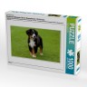 CALVENDO Puzzle CALVENDO Puzzle Emotionale Momente: Berner Sennenhund. \/ CH-Version Пазл CALVENDO Пазл Эмоциональные моменты: Бернский зенненхунд. \/ версия CH