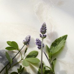 Rituals Glow Anti-Ageing Night Cream  Сияющий антивозрастной ночной крем