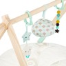 B.Toys Baby-Gym детская гимнастика