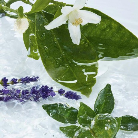 Yves Rocher Les Plaisirs Nature Korper und Massageol Orangenblute, Lavendel & Petitgrain Les Plaisirs Nature Масло для тела и массажное масло Апельсиновый цвет, Лаванда и Петитгрейн