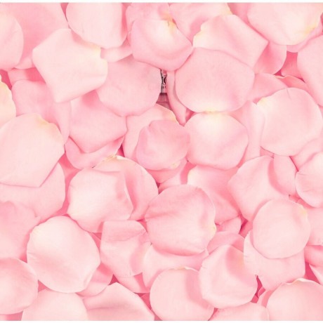 Lancome Tonique тоник