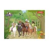 Schmidt Spiele Kartenspiel Schleich Pferdepaare Карточная игра Schleich пары лошадей